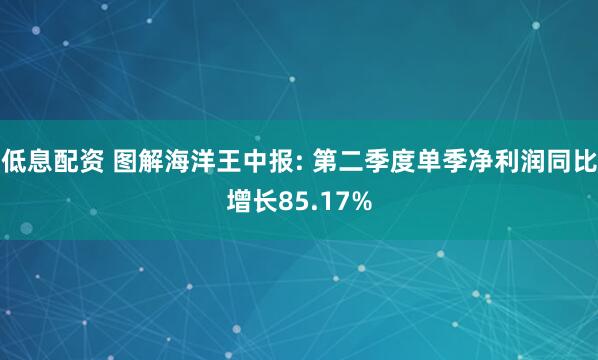低息配资 图解海洋王中报: 第二季度单季净利润同比增长85.17%