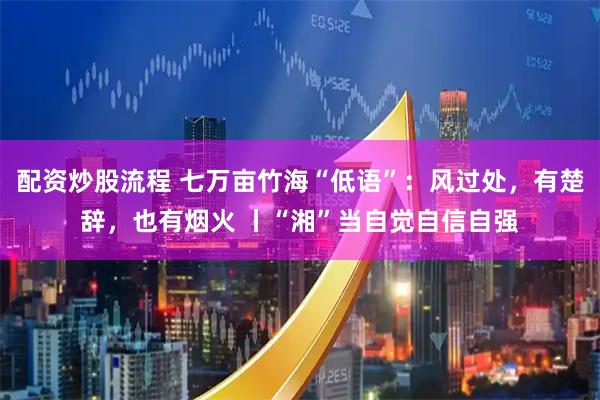 配资炒股流程 七万亩竹海“低语”：风过处，有楚辞，也有烟火 丨“湘”当自觉自信自强